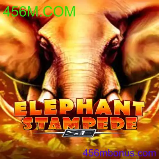 ElephantStampedeSE